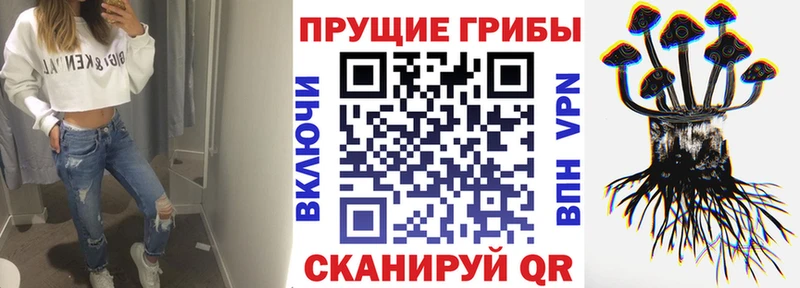 Галлюциногенные грибы ЛСД Володарск