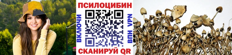 Галлюциногенные грибы MAGIC MUSHROOMS  Володарск 